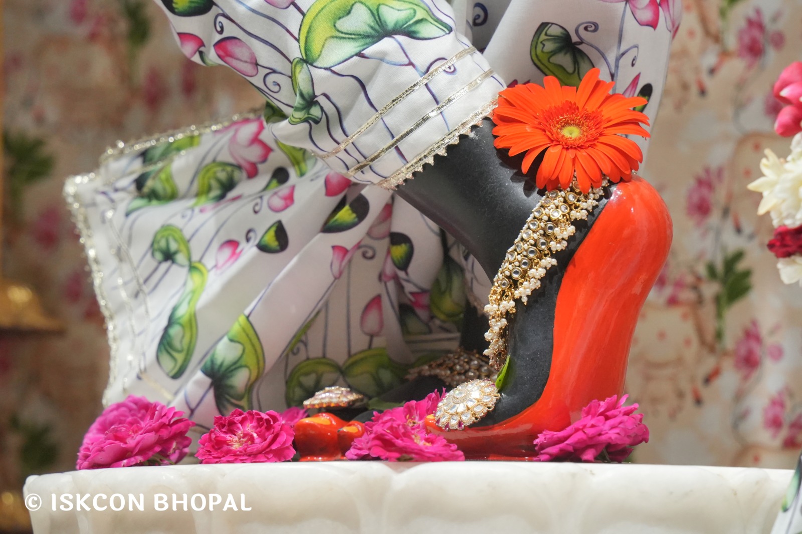 WhatsApp Image 2026-04-04 at 11.05.41