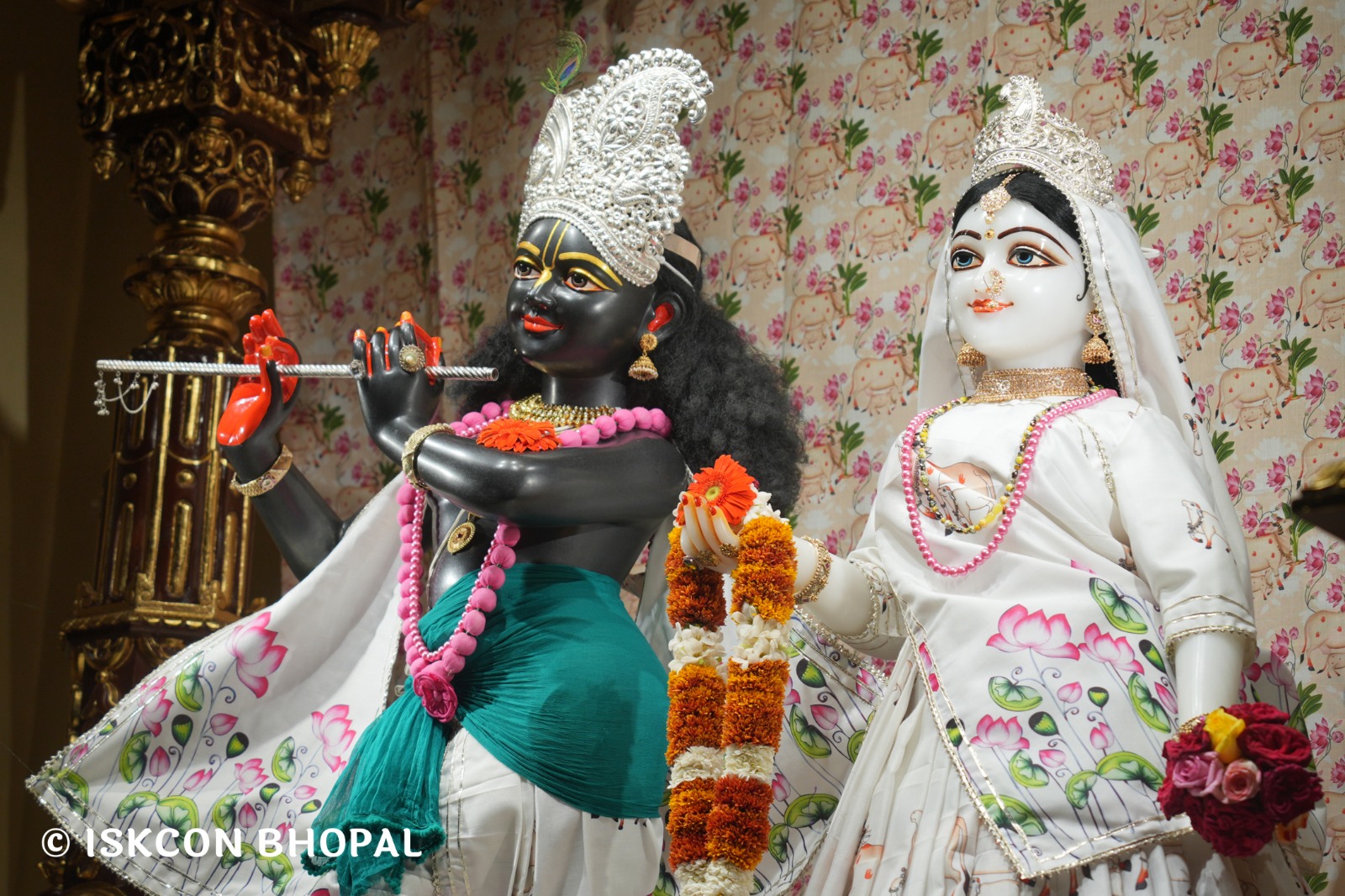 WhatsApp Image 2026-04-04 at 11.05.45