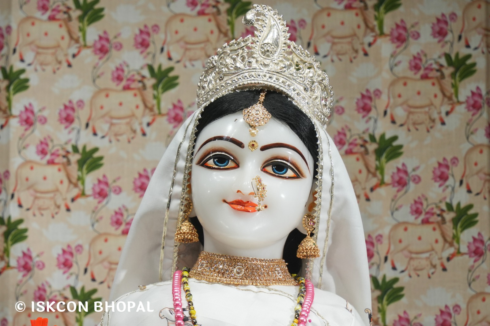 WhatsApp Image 2026-04-04 at 11.05.51