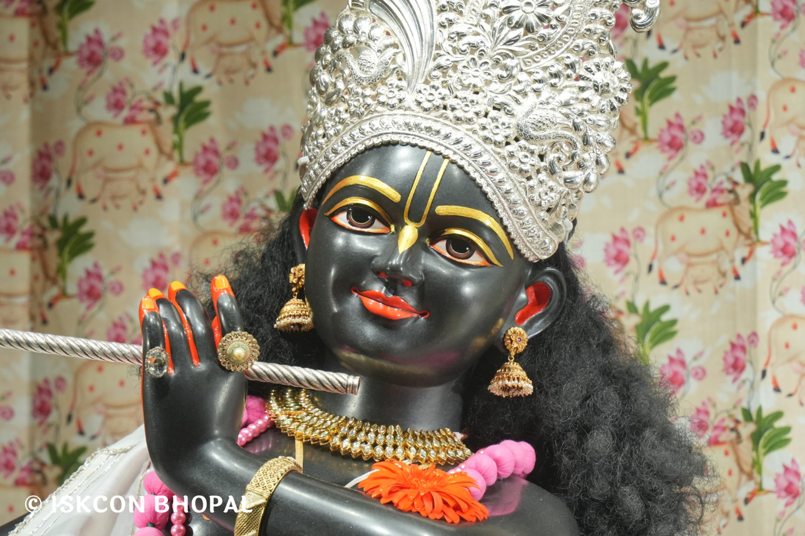 WhatsApp Image 2026-04-04 at 11.05.52