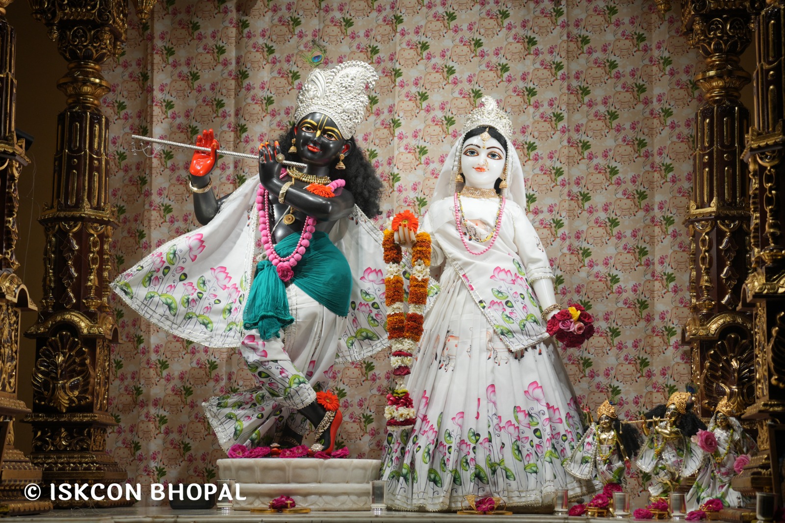 WhatsApp Image 2026-04-04 at 11.05.54