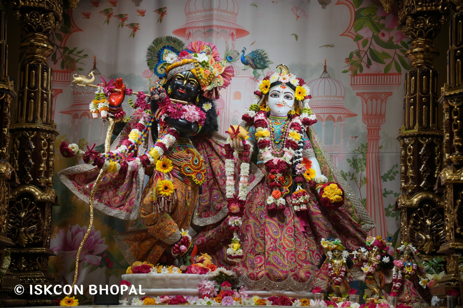 WhatsApp Image 2026-04-04 at 11.06.45 (1)