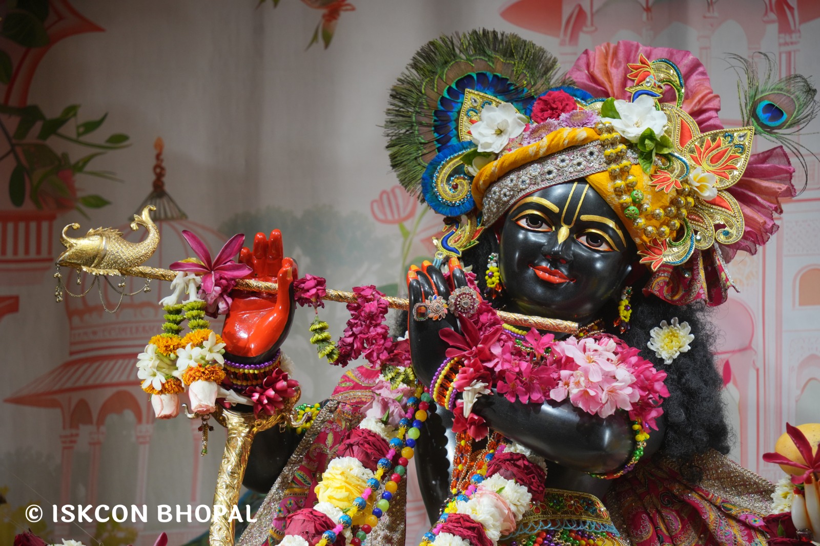 WhatsApp Image 2026-04-04 at 11.06.53