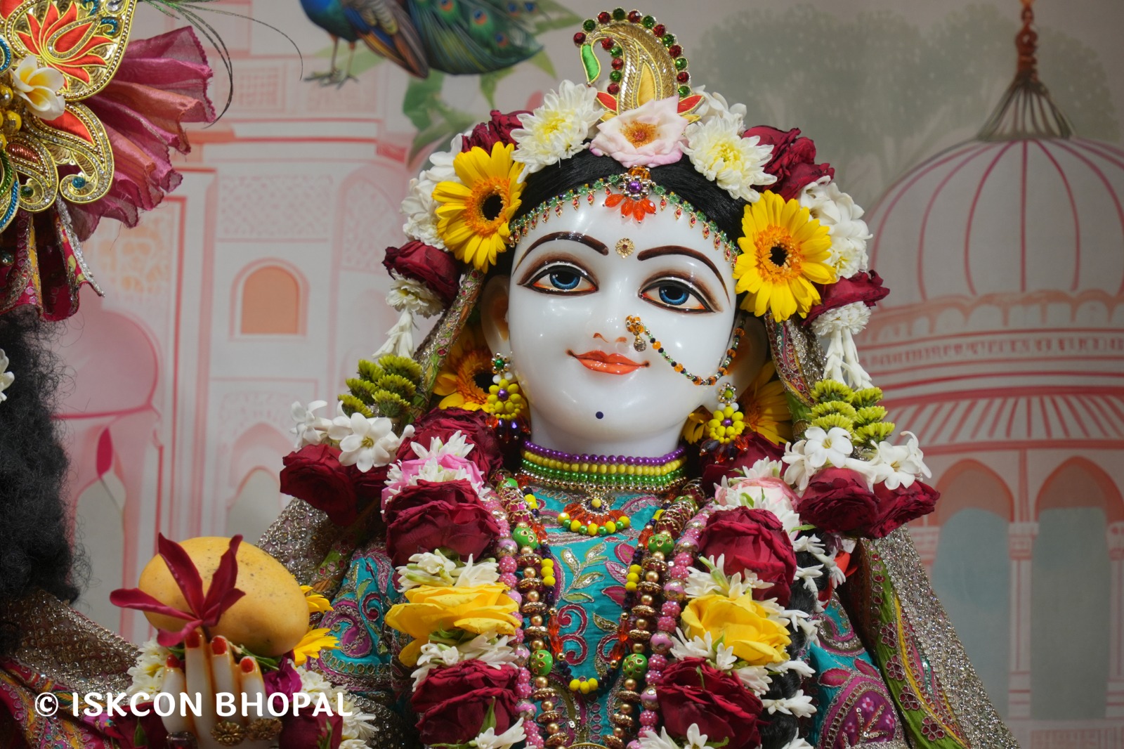 WhatsApp Image 2026-04-04 at 11.06.55