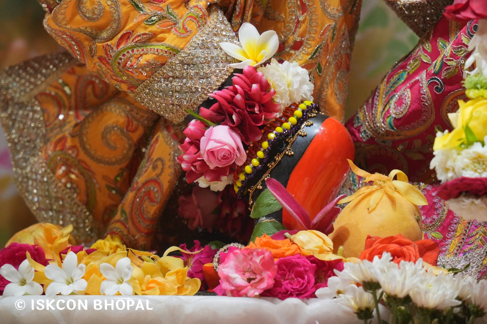 WhatsApp Image 2026-04-04 at 11.06.59