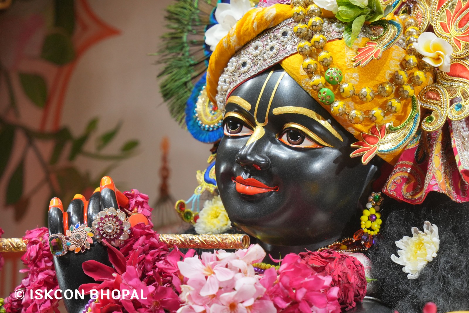 WhatsApp Image 2026-04-04 at 11.07.02