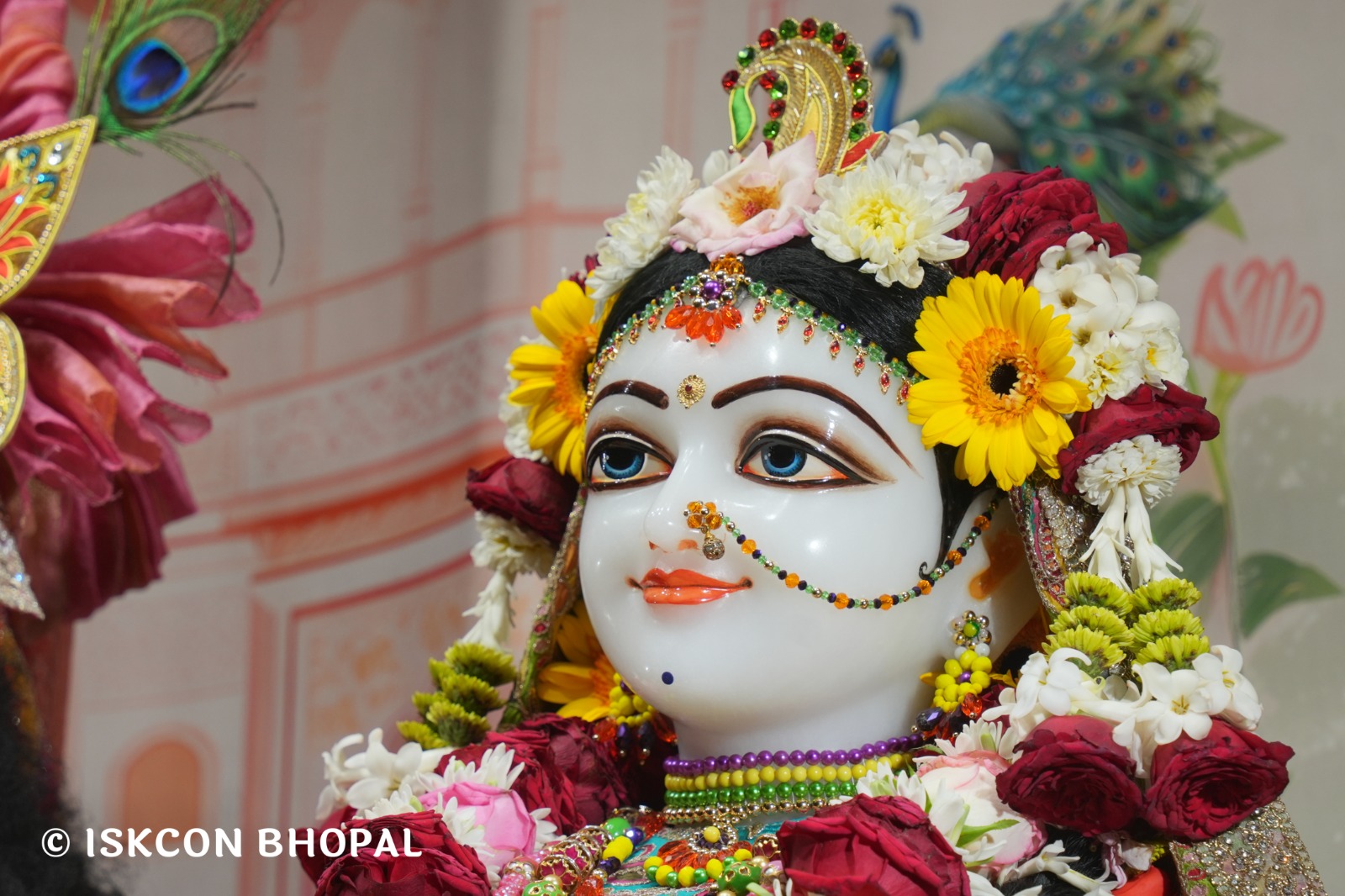 WhatsApp Image 2026-04-04 at 11.07.03