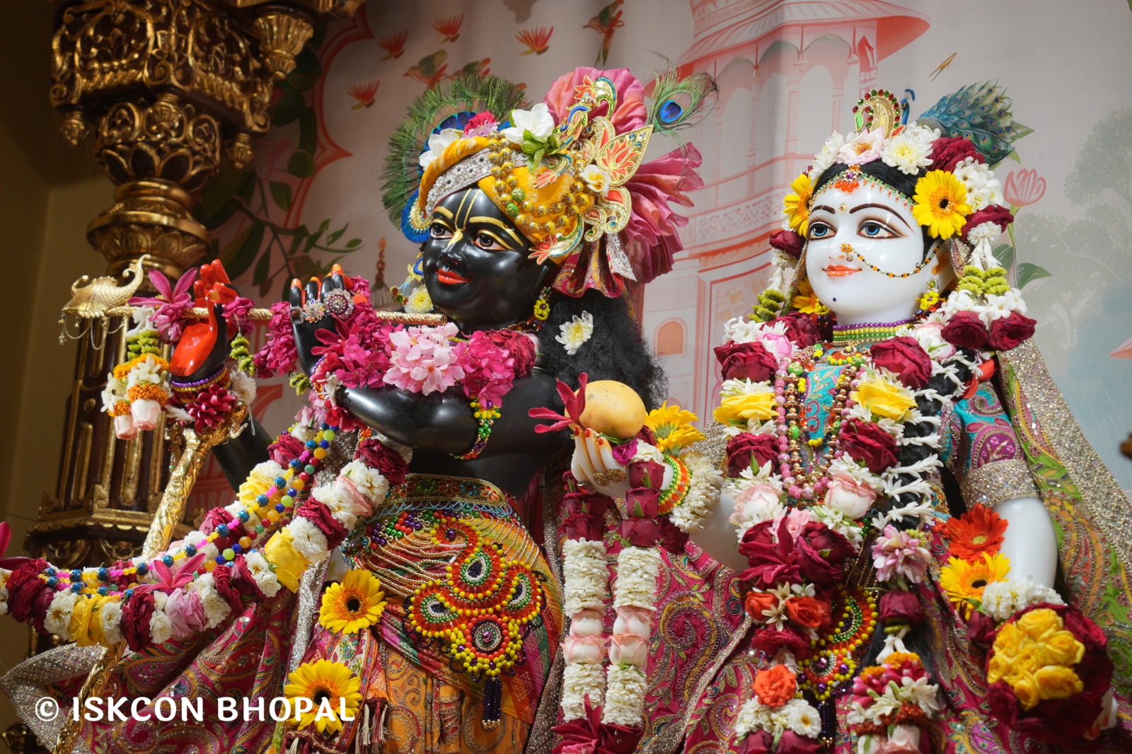 WhatsApp Image 2026-04-04 at 11.07.05