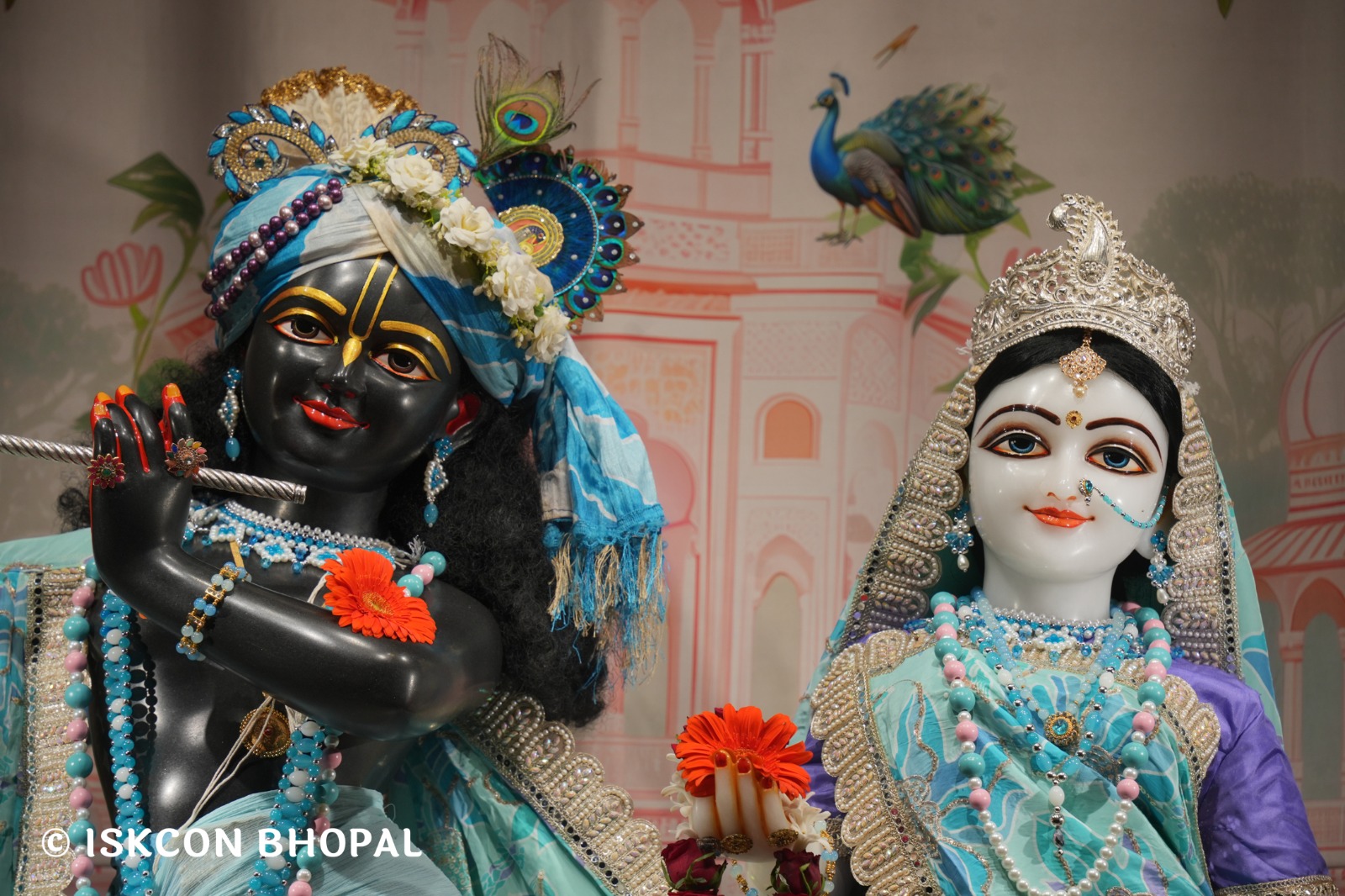 WhatsApp Image 2026-04-05 at 08.19.44