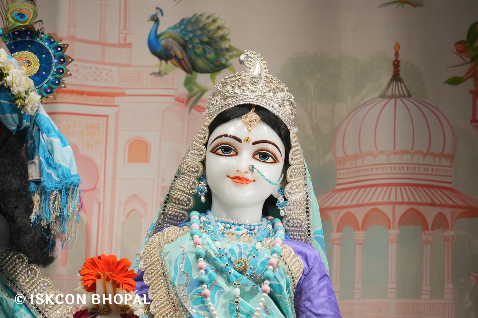 WhatsApp Image 2026-04-05 at 08.19.50