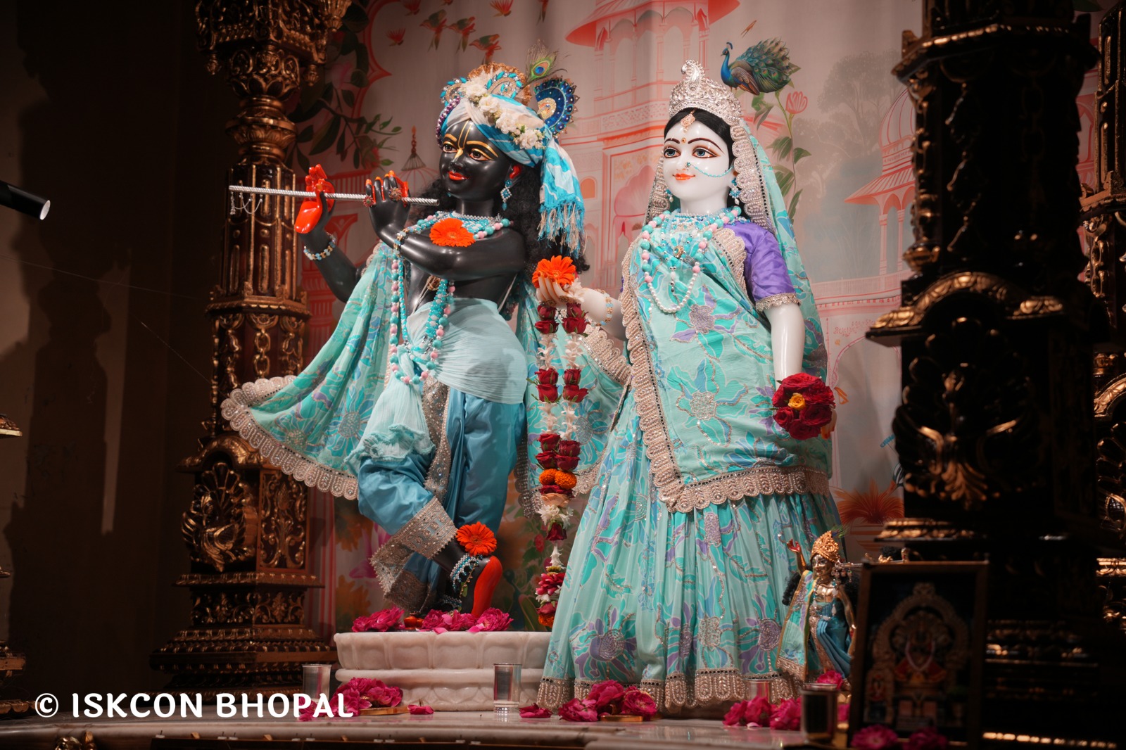 WhatsApp Image 2026-04-05 at 08.20.15