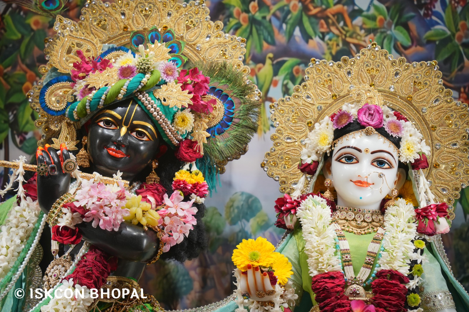 WhatsApp Image 2026-04-05 at 08.21.42