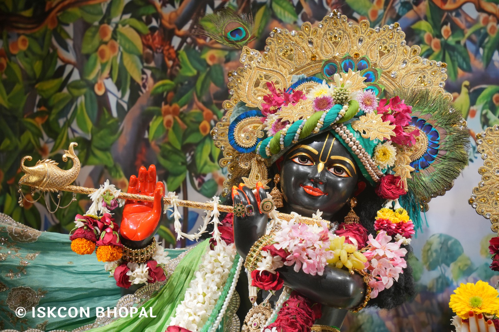 WhatsApp Image 2026-04-05 at 08.21.45