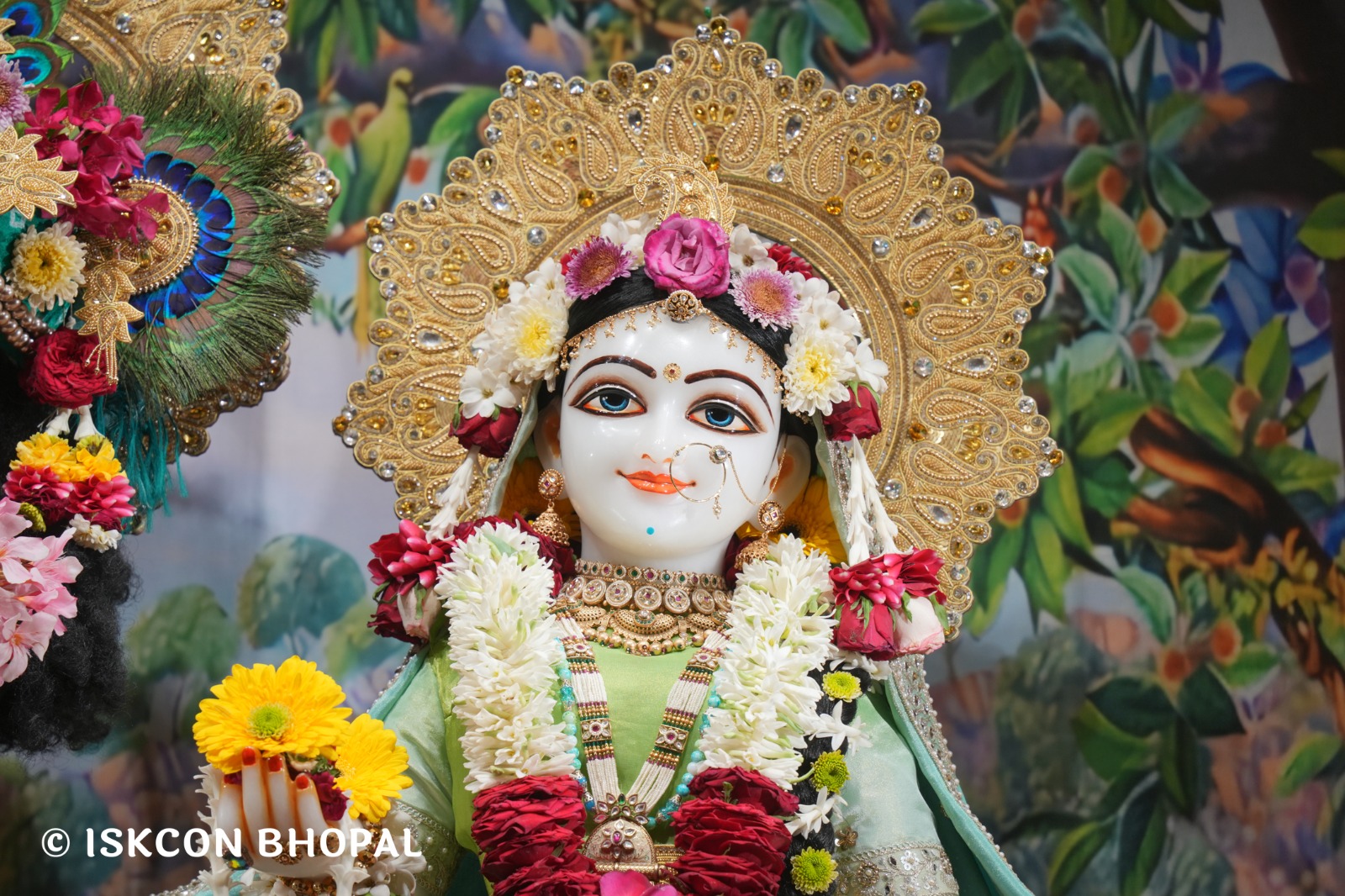 WhatsApp Image 2026-04-05 at 08.21.47