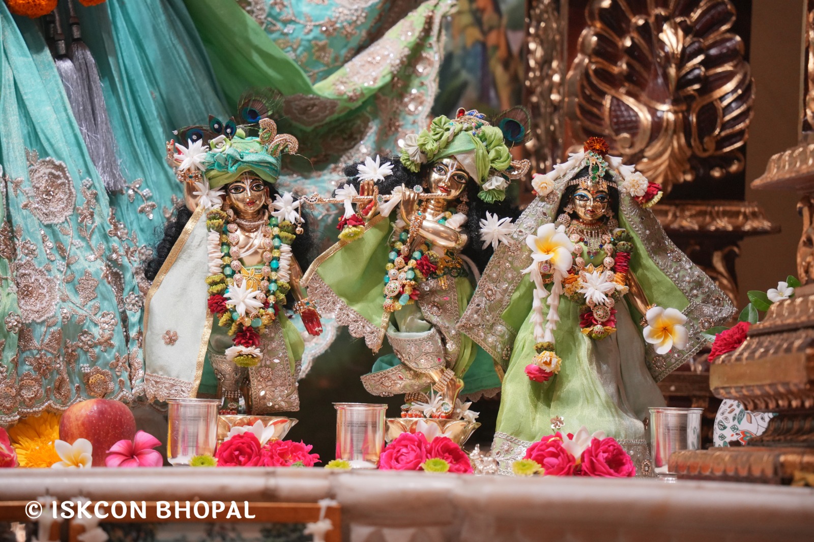 WhatsApp Image 2026-04-05 at 08.21.56