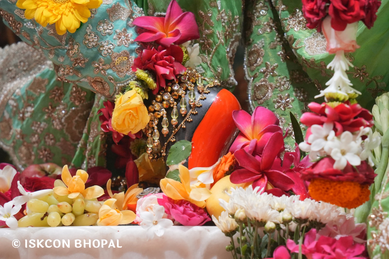 WhatsApp Image 2026-04-05 at 08.21.59