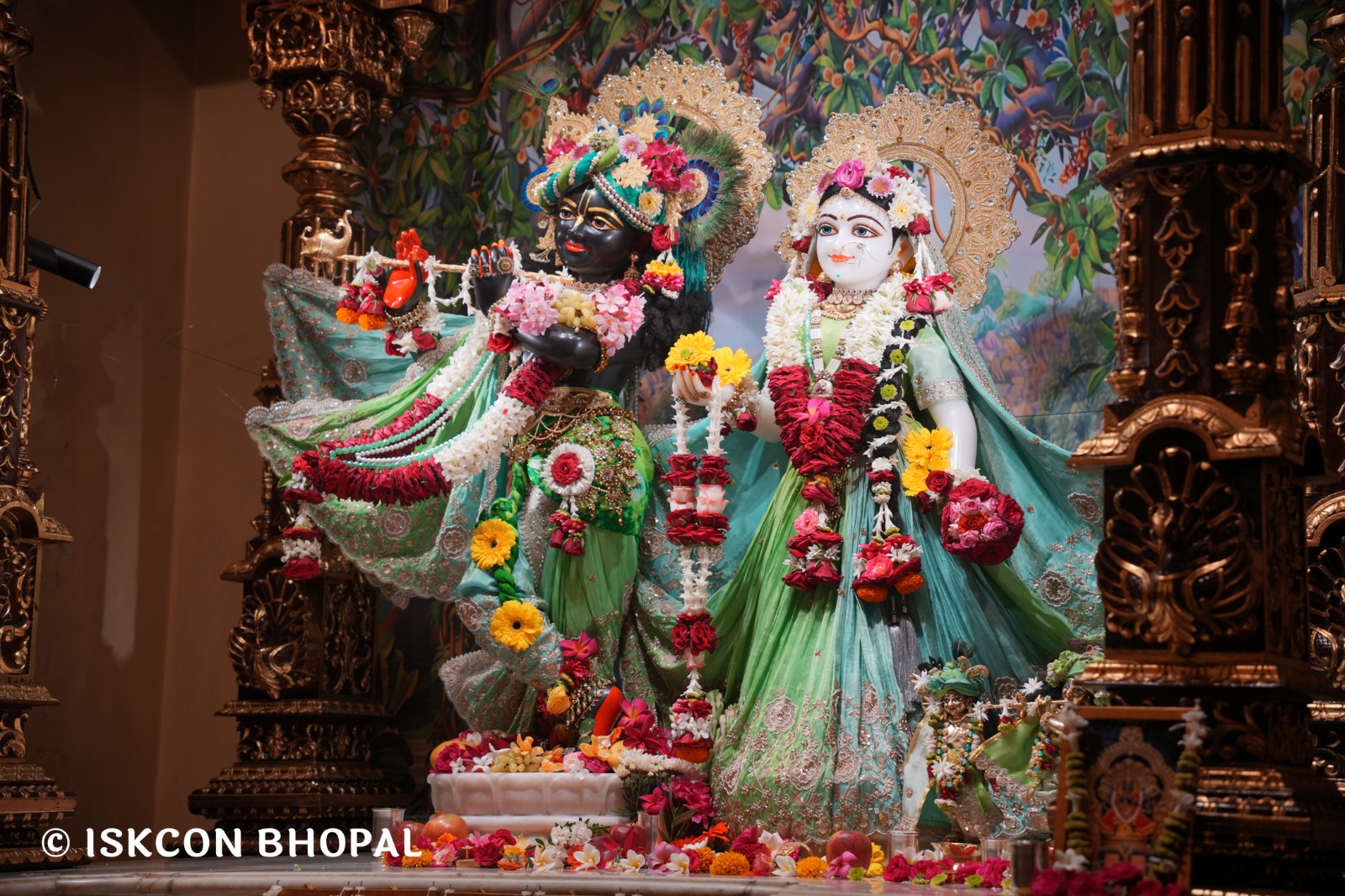 WhatsApp Image 2026-04-05 at 08.22.08