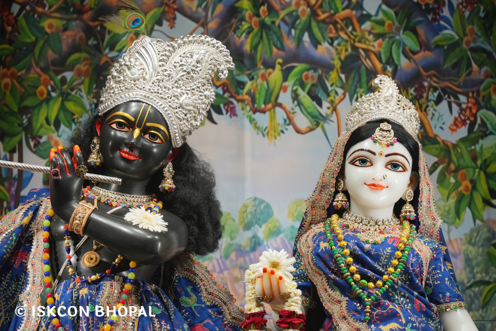 WhatsApp Image 2026-04-06 at 08.06.15