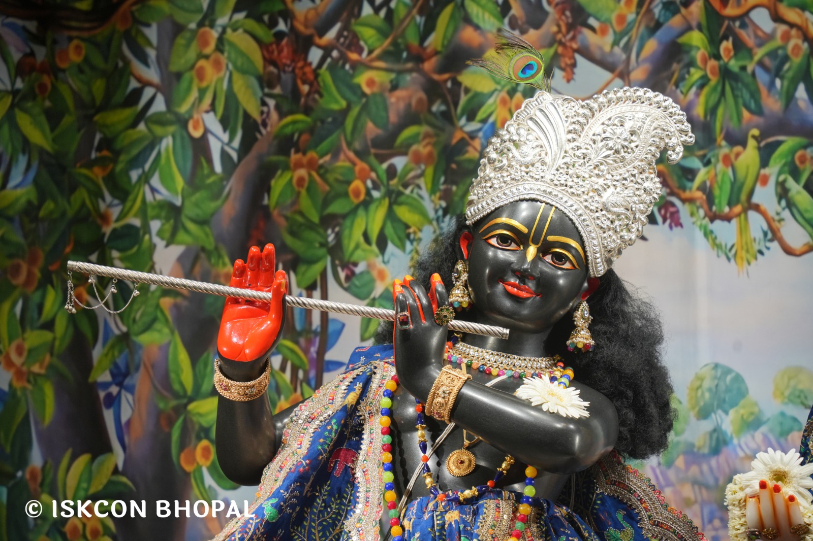 WhatsApp Image 2026-04-06 at 08.06.18