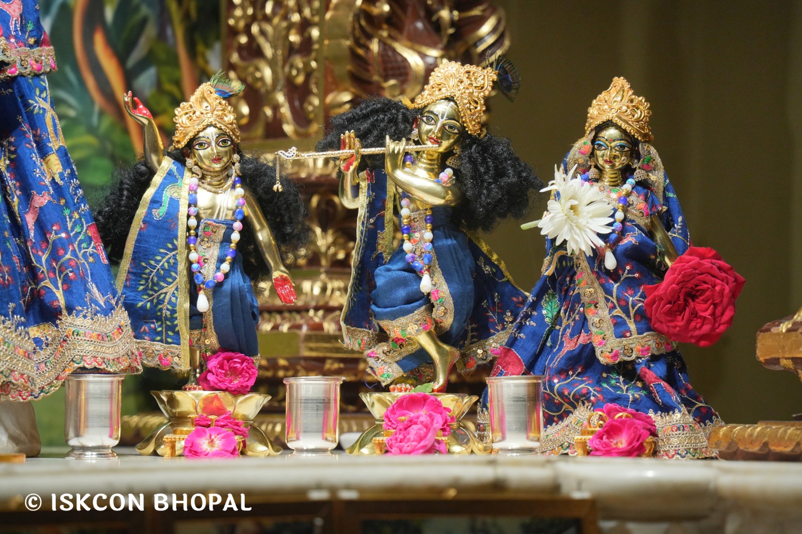 WhatsApp Image 2026-04-06 at 08.06.21