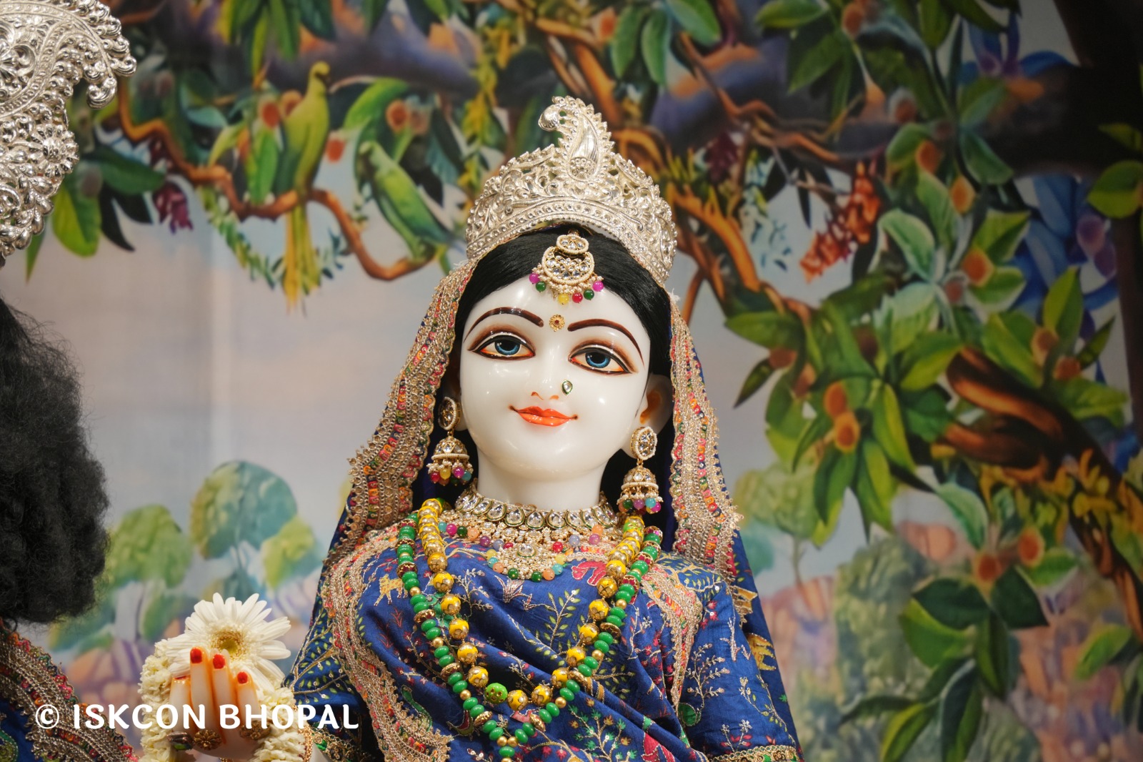 WhatsApp Image 2026-04-06 at 08.06.23