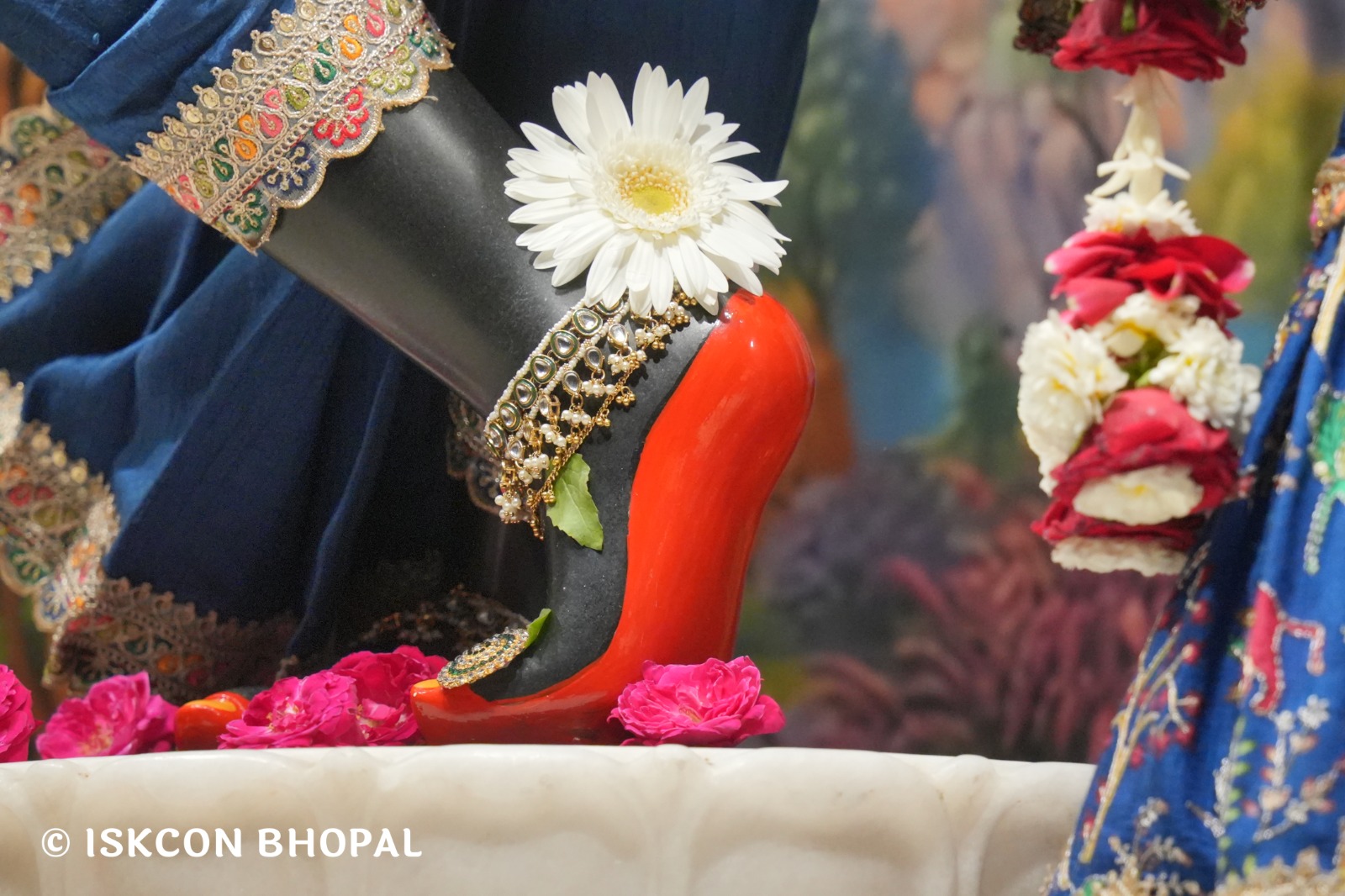 WhatsApp Image 2026-04-06 at 08.06.28