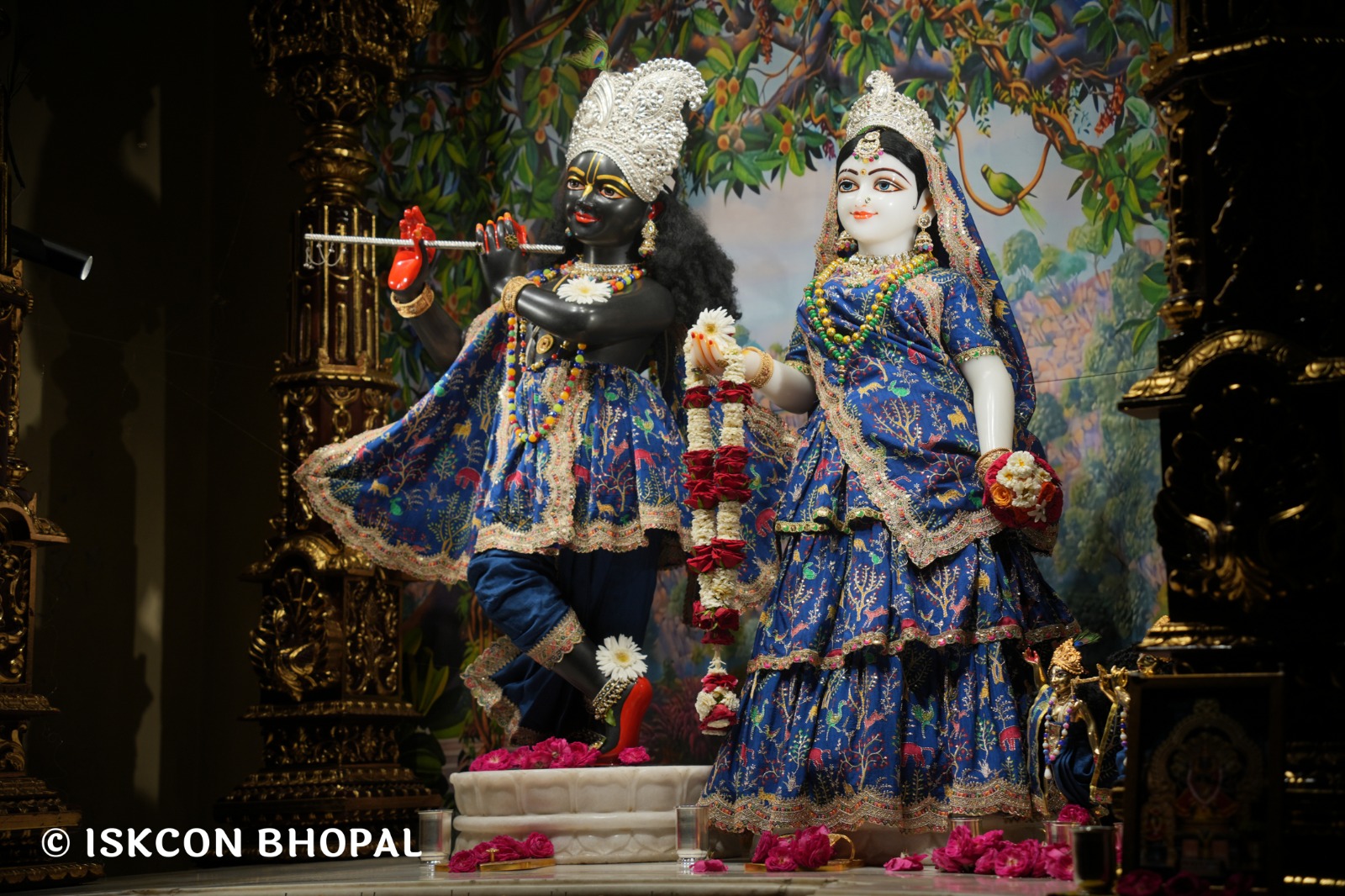 WhatsApp Image 2026-04-06 at 08.06.36