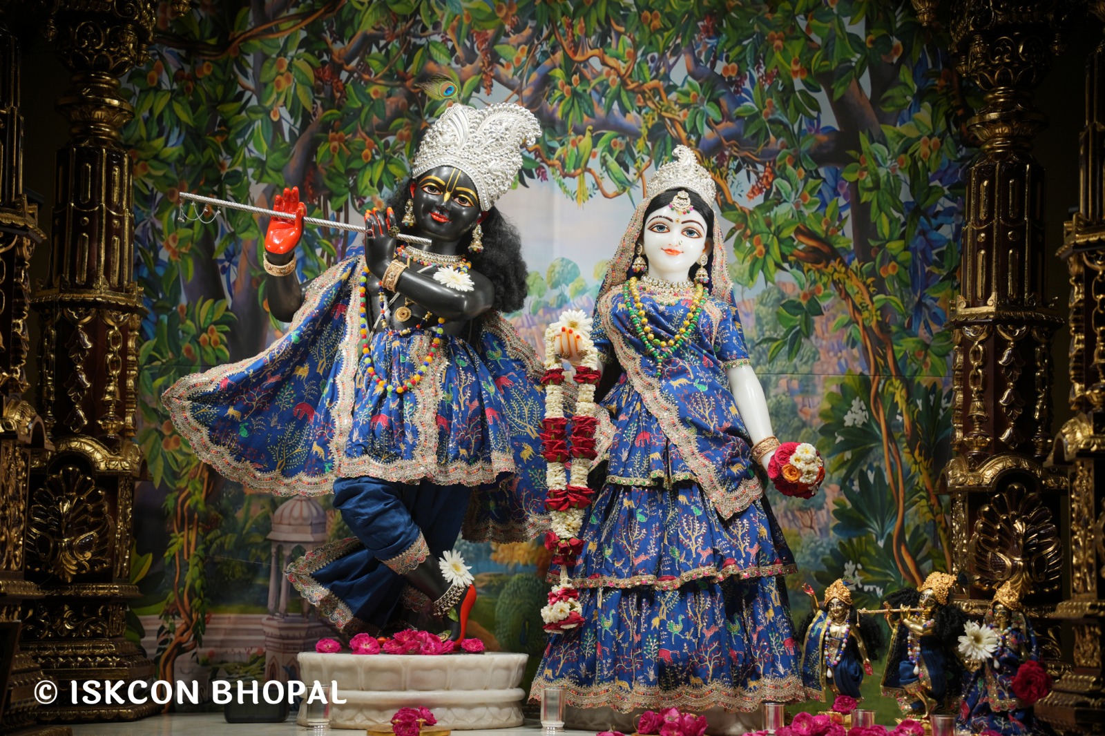 WhatsApp Image 2026-04-06 at 08.06.44