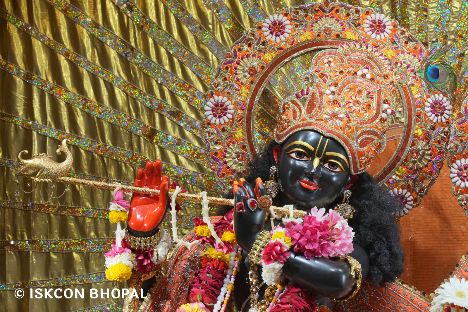 WhatsApp Image 2026-04-06 at 08.09.08