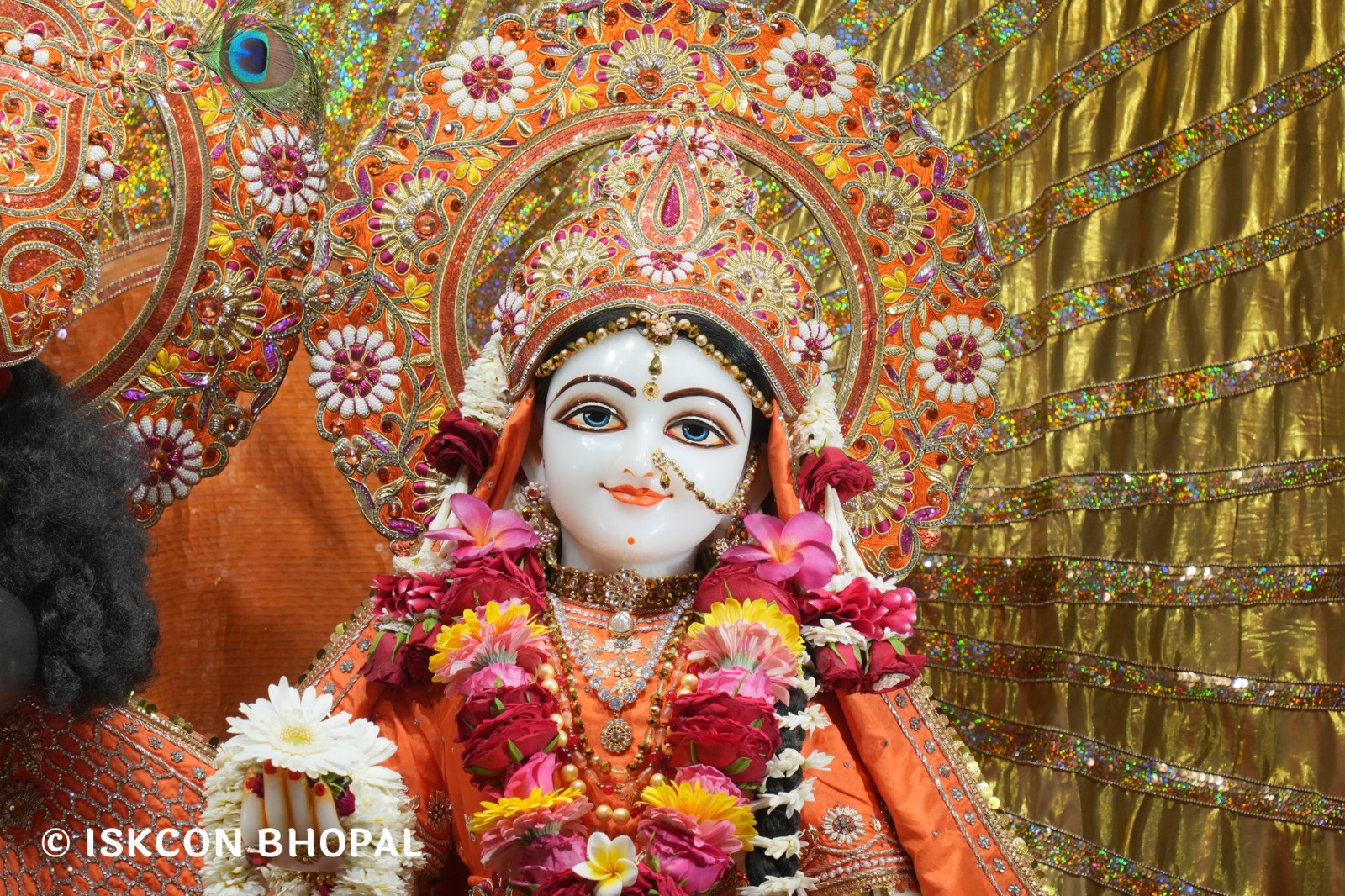 WhatsApp Image 2026-04-06 at 08.09.13