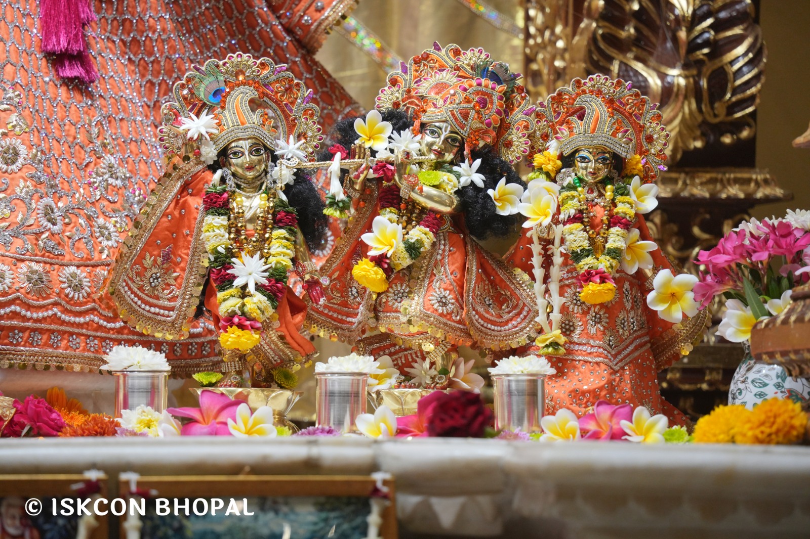 WhatsApp Image 2026-04-06 at 08.09.40