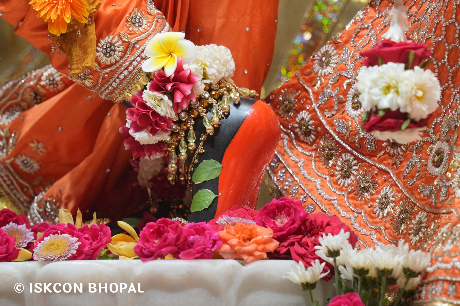 WhatsApp Image 2026-04-06 at 08.09.44