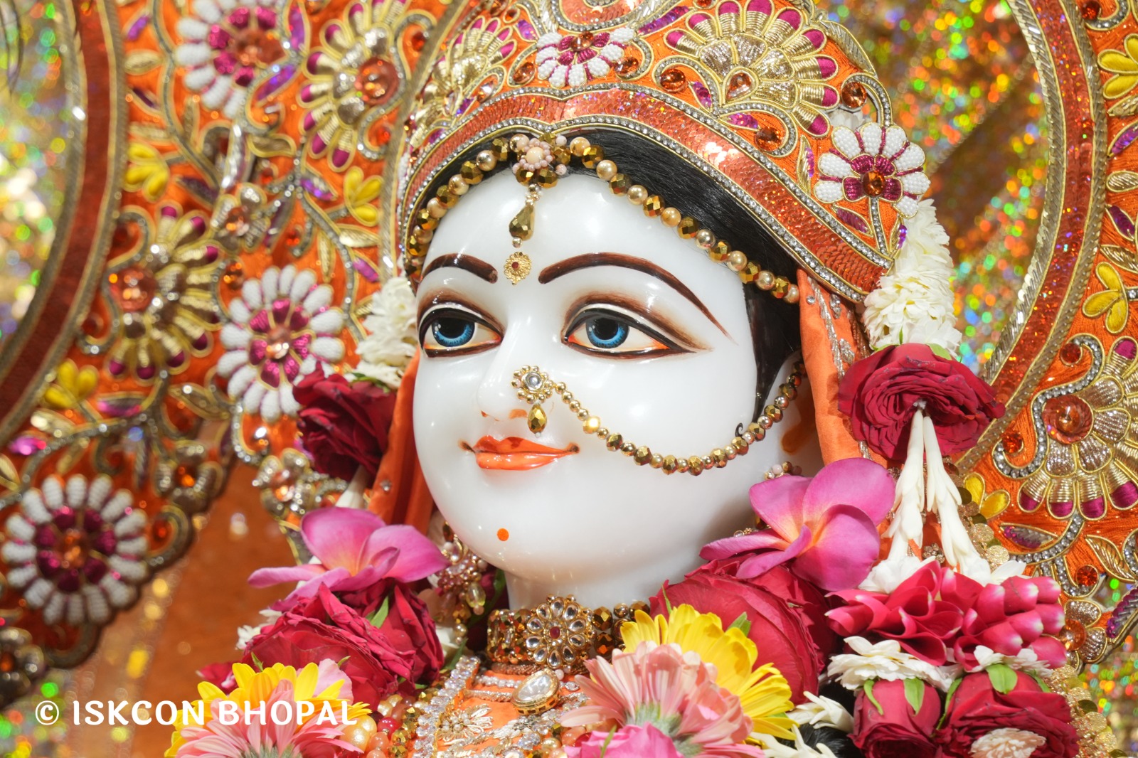 WhatsApp Image 2026-04-06 at 08.10.14