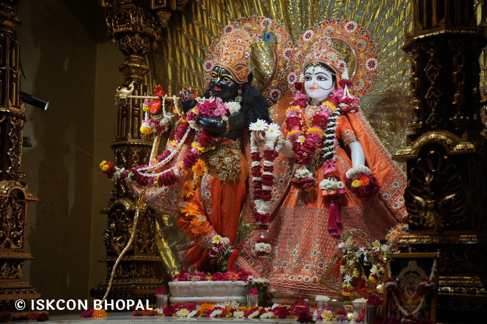 WhatsApp Image 2026-04-06 at 08.10.17