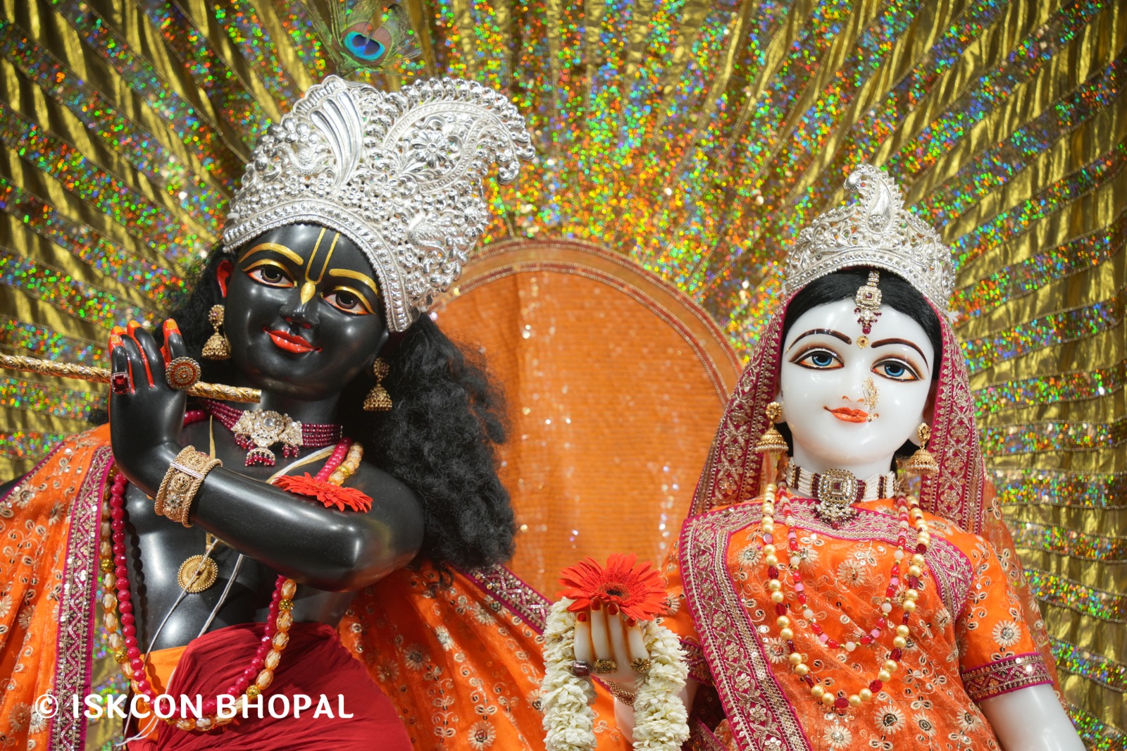 WhatsApp Image 2026-04-07 at 07.45.16