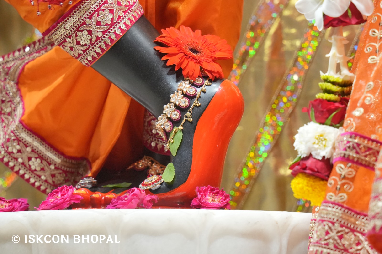 WhatsApp Image 2026-04-07 at 07.45.29