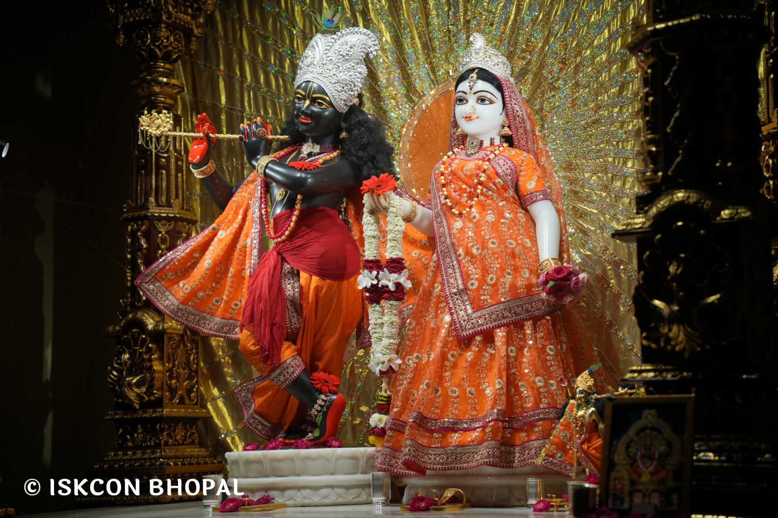 WhatsApp Image 2026-04-07 at 07.45.36