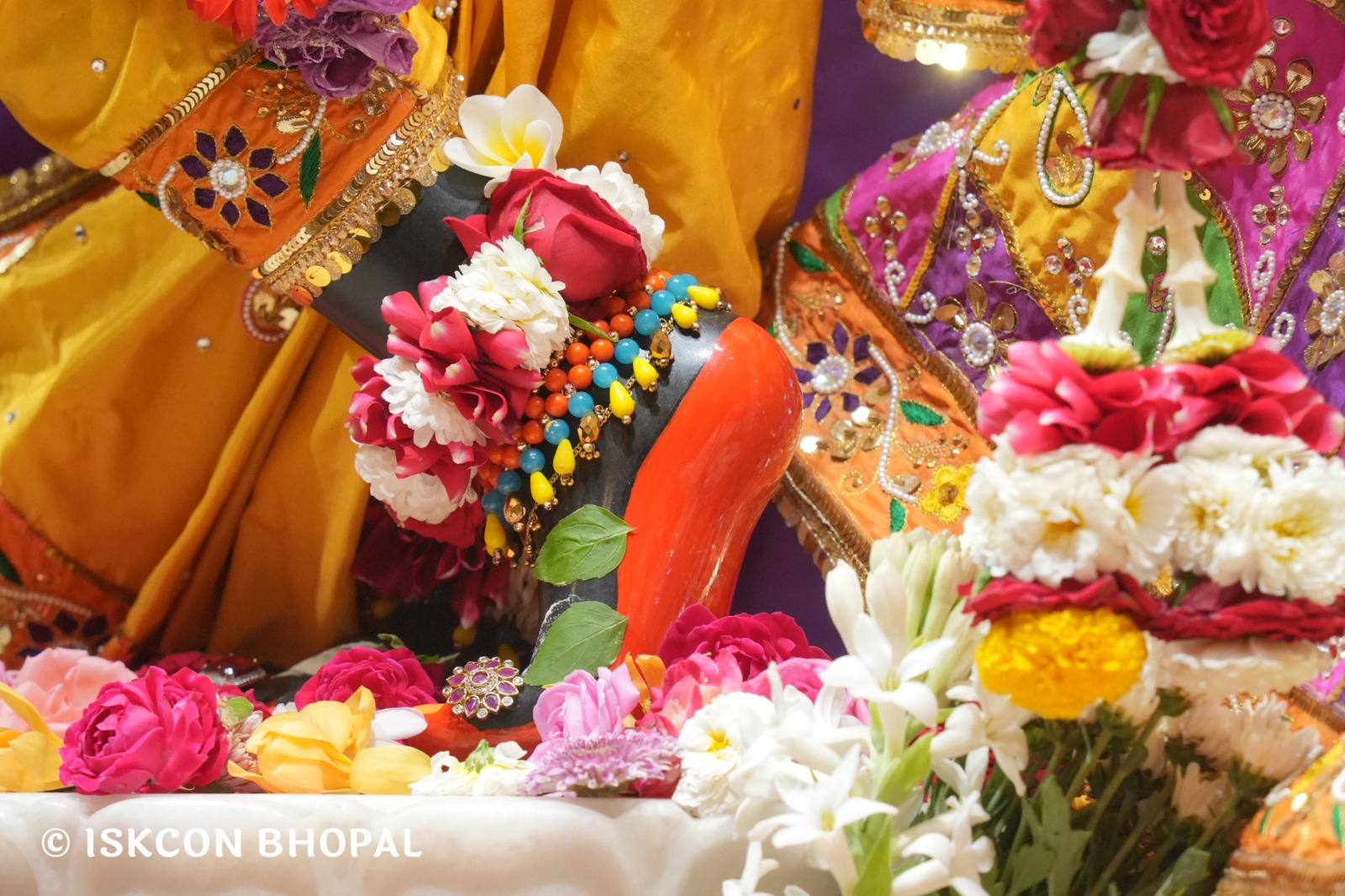 WhatsApp Image 2026-04-07 at 07.46.51