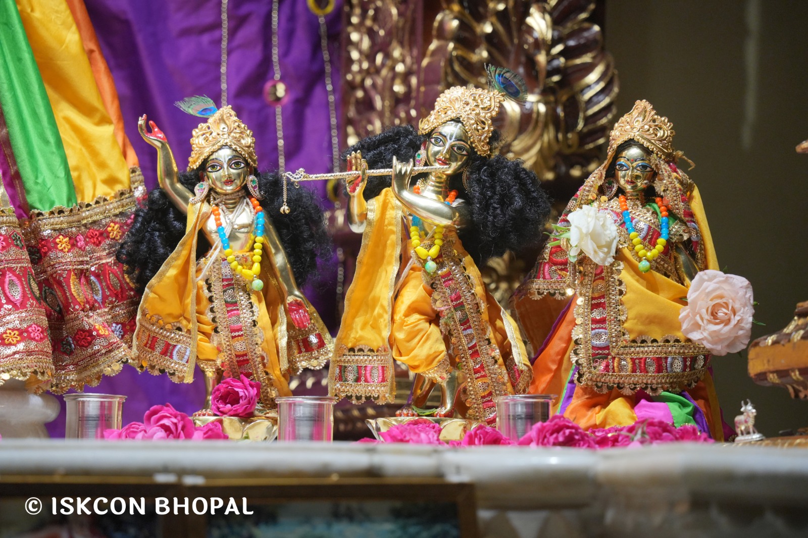 WhatsApp Image 2026-04-08 at 08.02.42