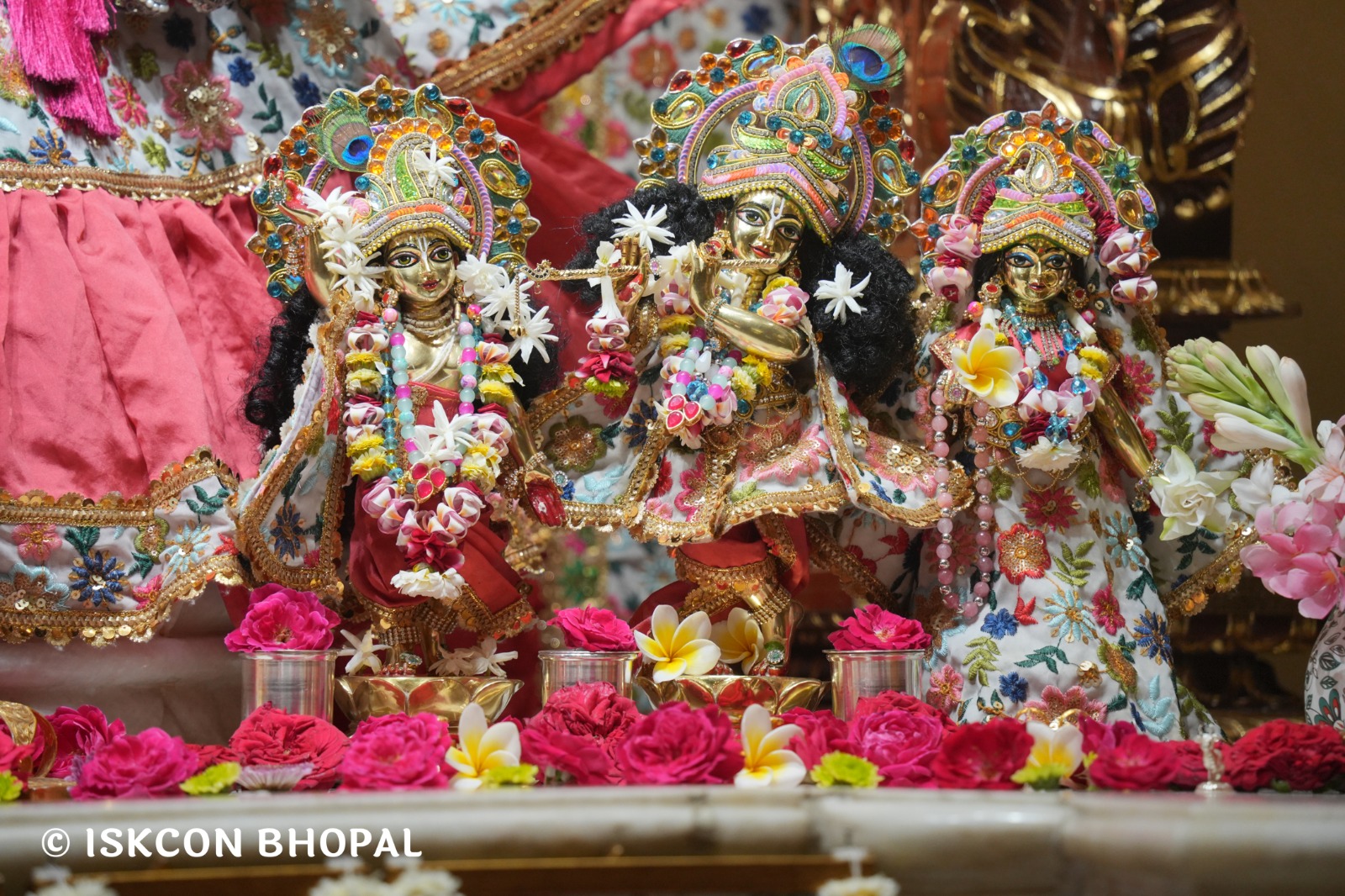 WhatsApp Image 2026-04-08 at 11.14.16