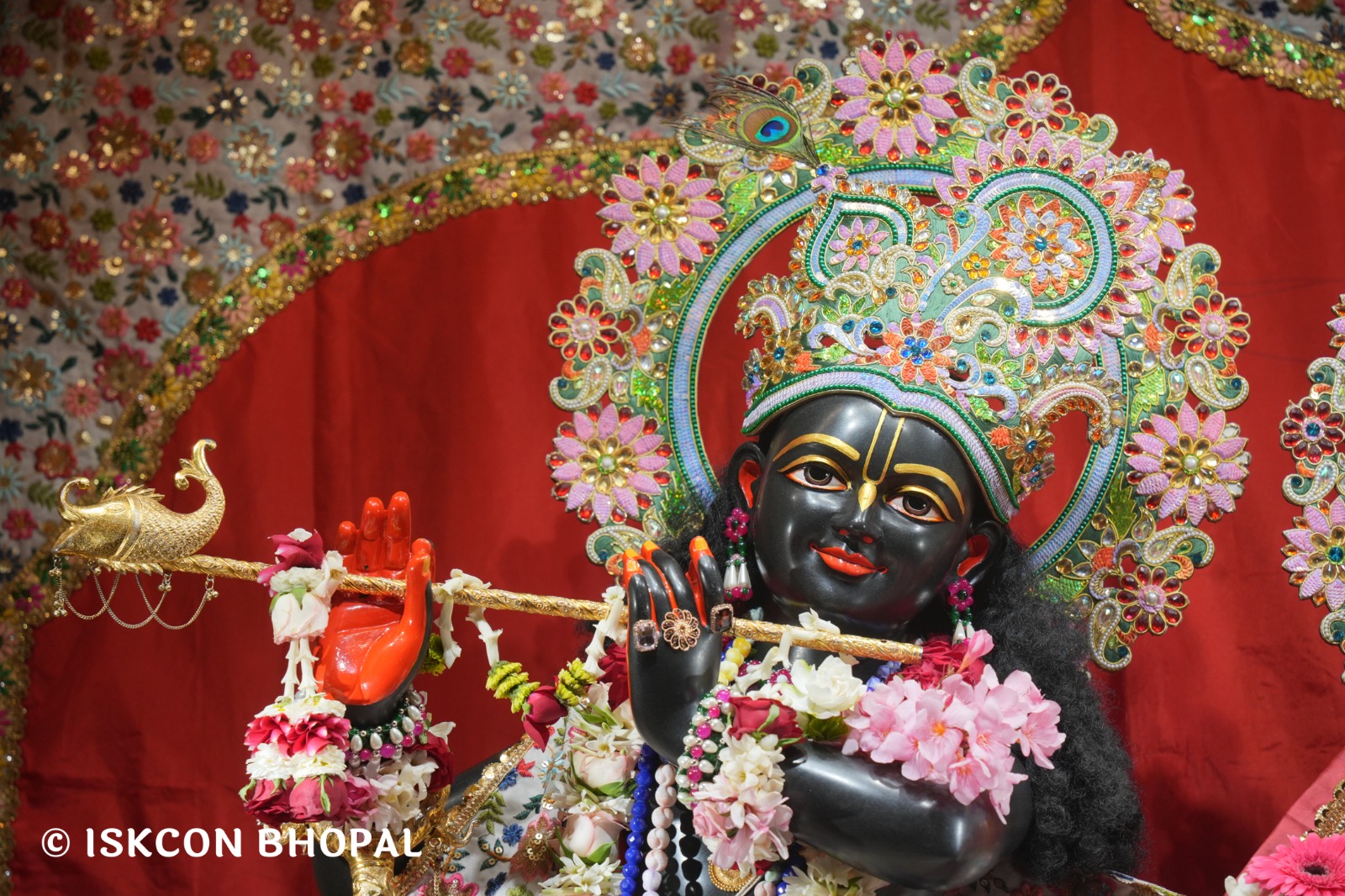 WhatsApp Image 2026-04-08 at 11.14.23