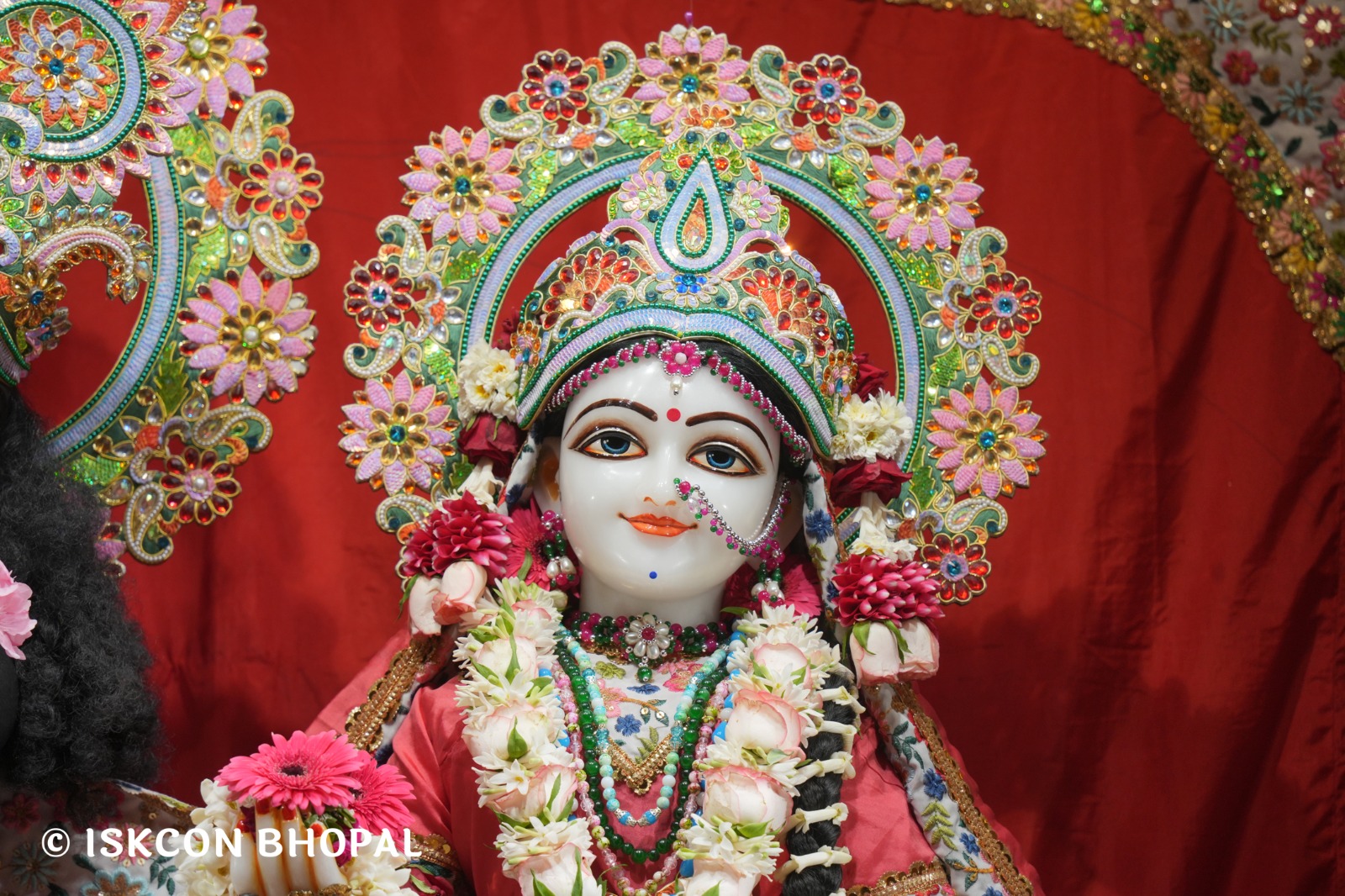 WhatsApp Image 2026-04-08 at 11.14.25