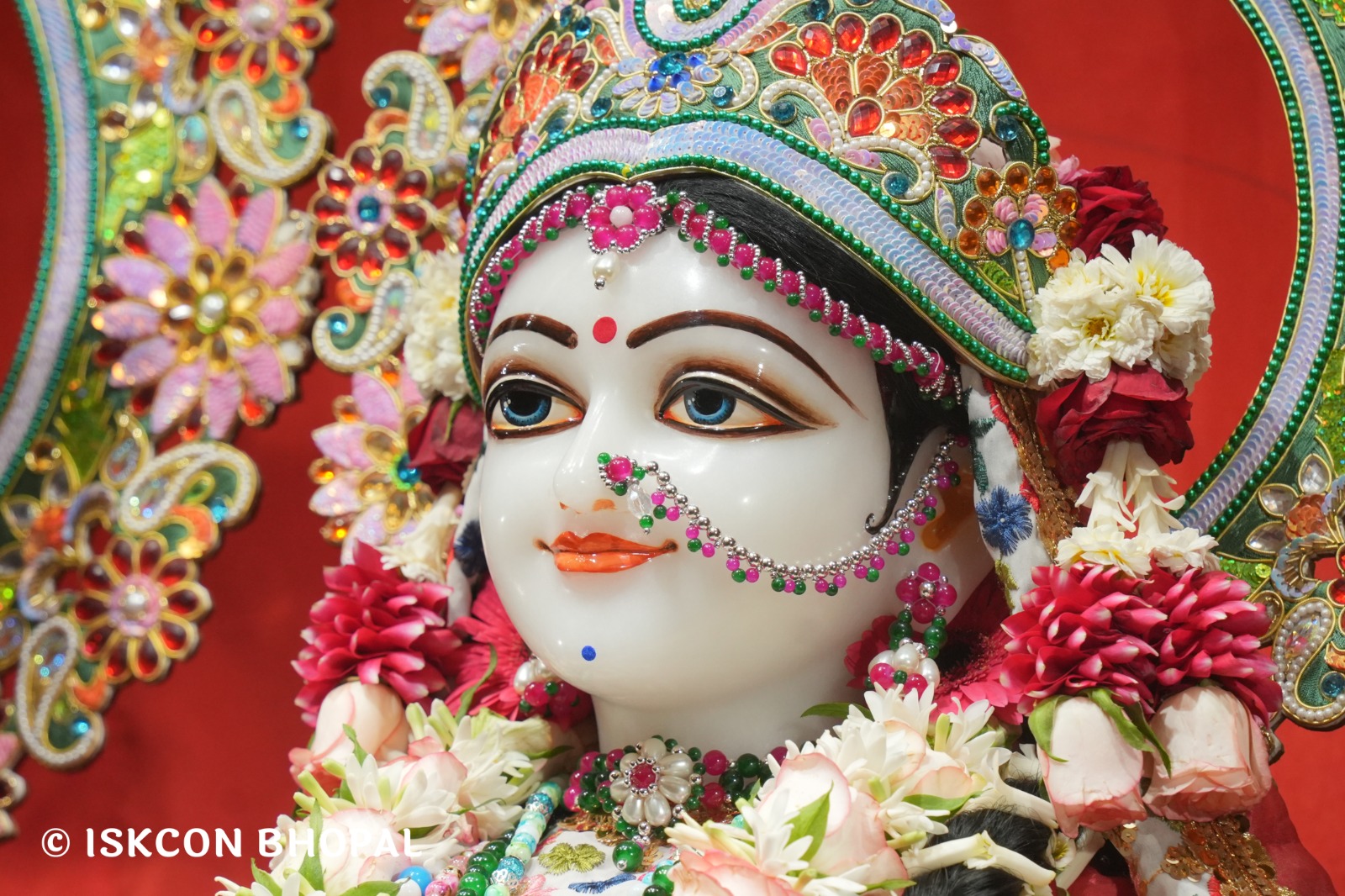 WhatsApp Image 2026-04-08 at 11.14.34