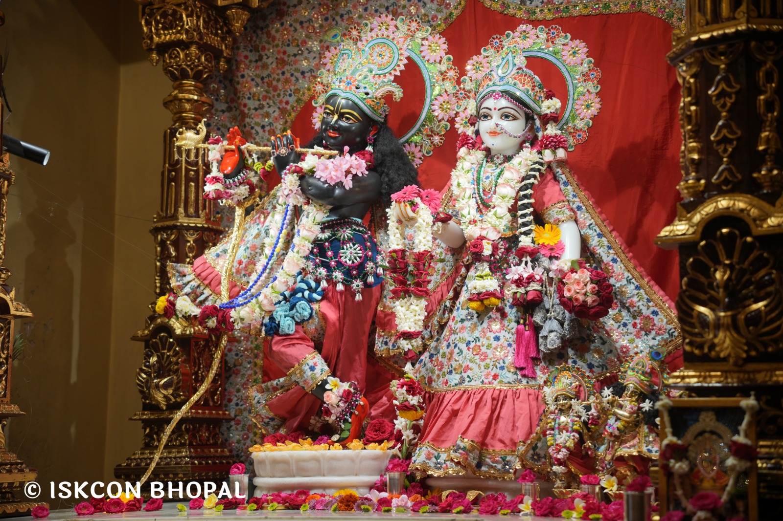 WhatsApp Image 2026-04-08 at 11.14.36