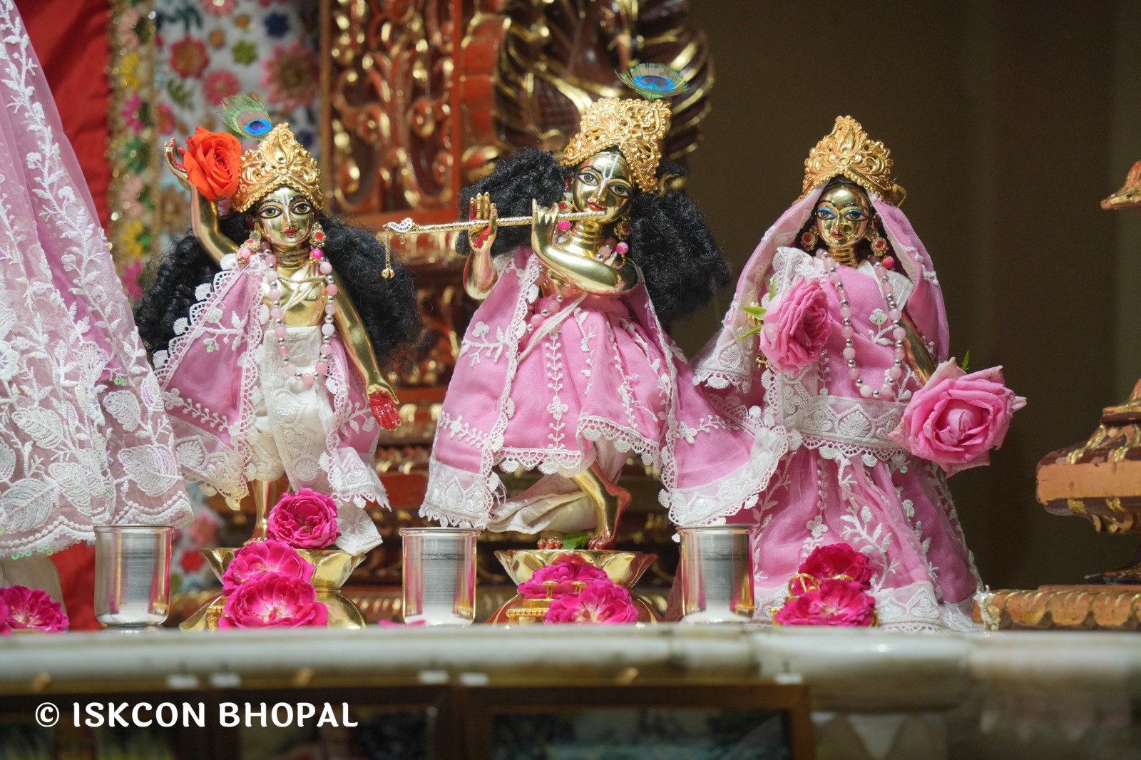 WhatsApp Image 2026-04-09 at 14.45.28