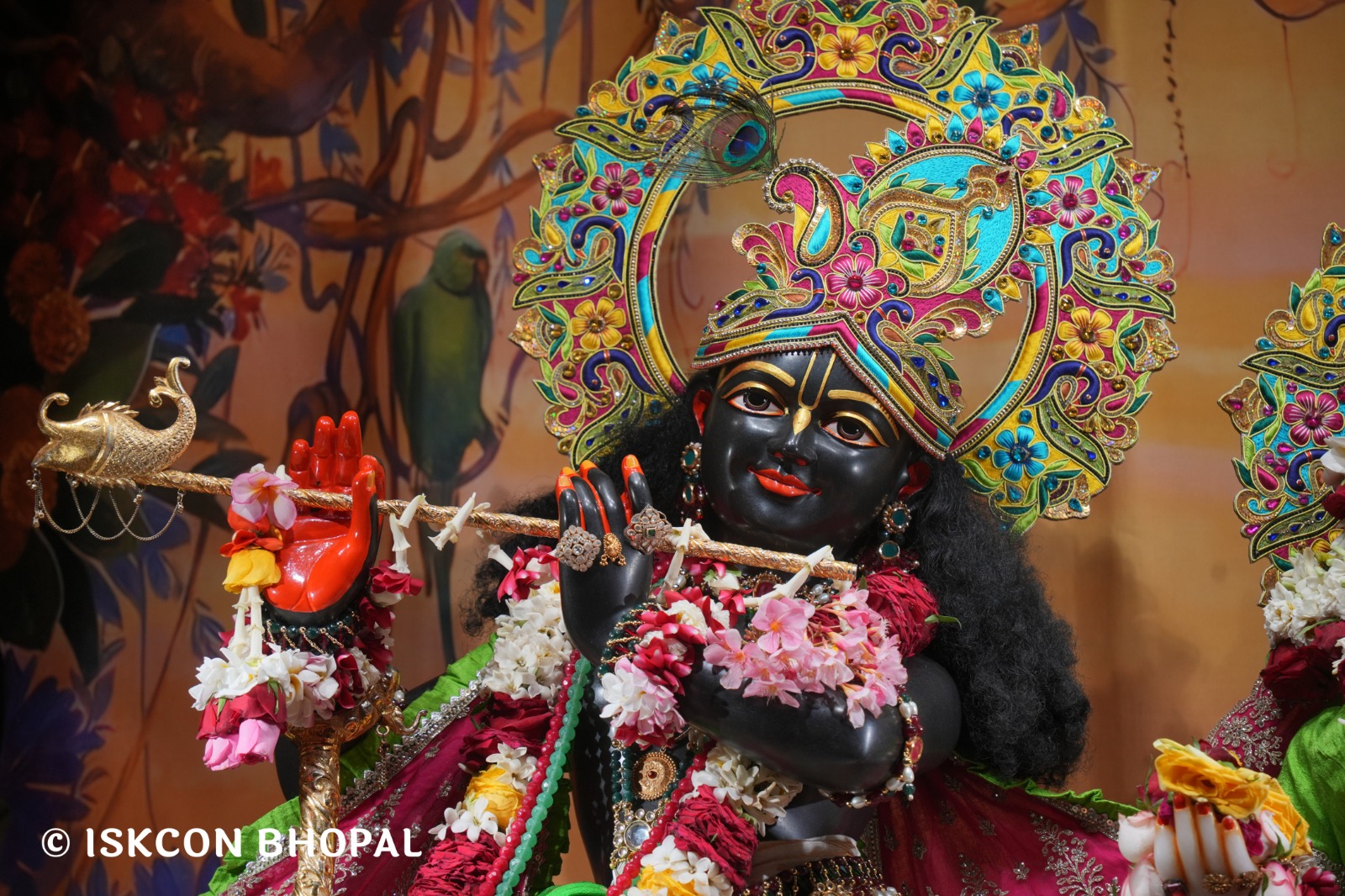 WhatsApp Image 2026-04-09 at 14.47.26