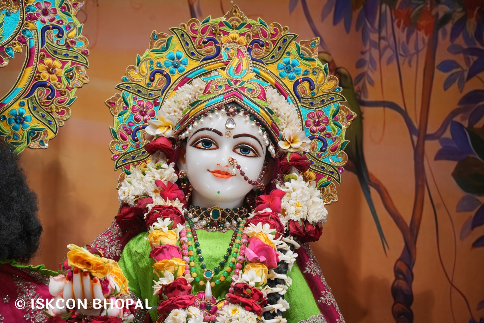 WhatsApp Image 2026-04-09 at 14.47.29