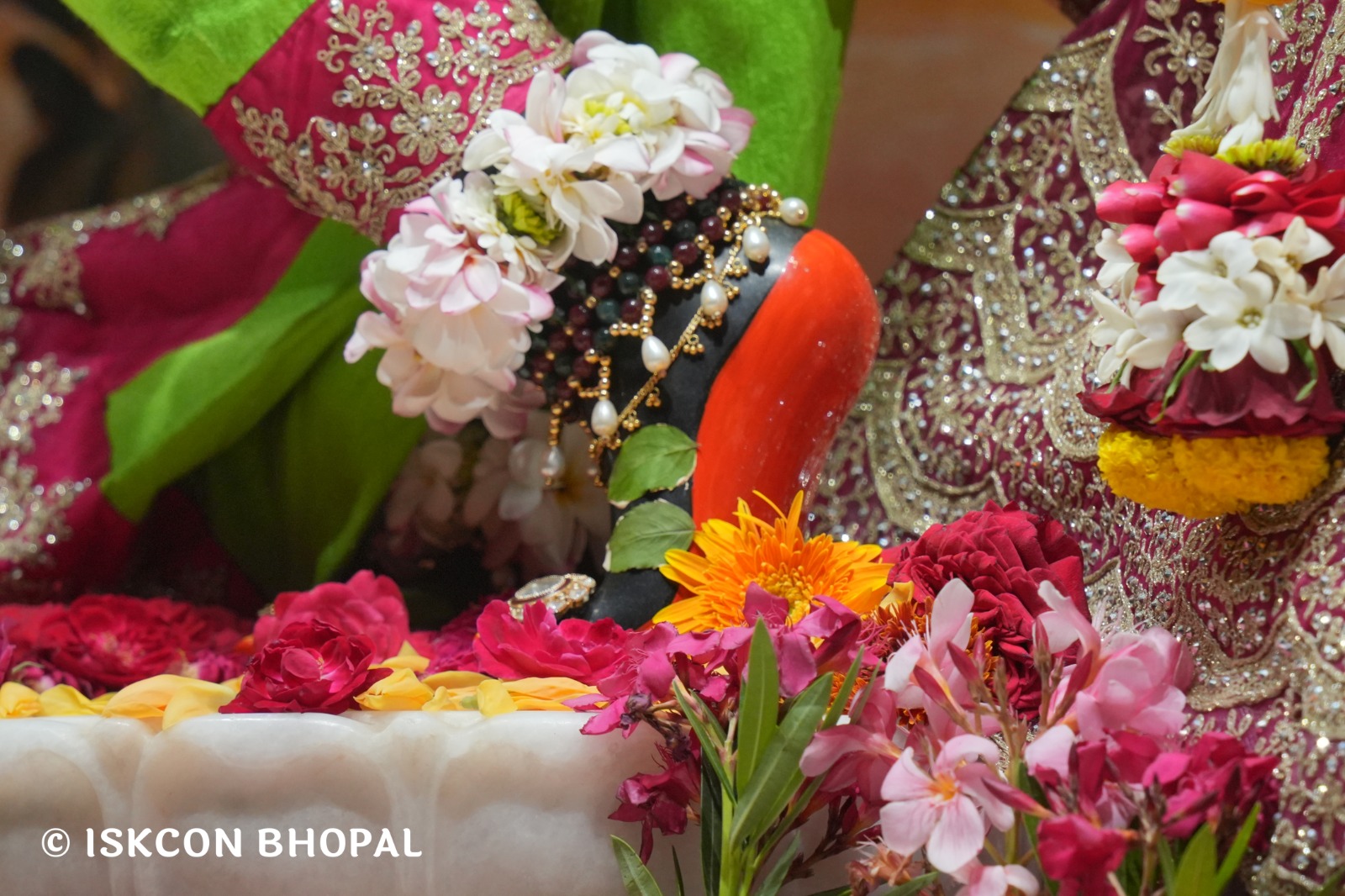 WhatsApp Image 2026-04-09 at 14.47.33