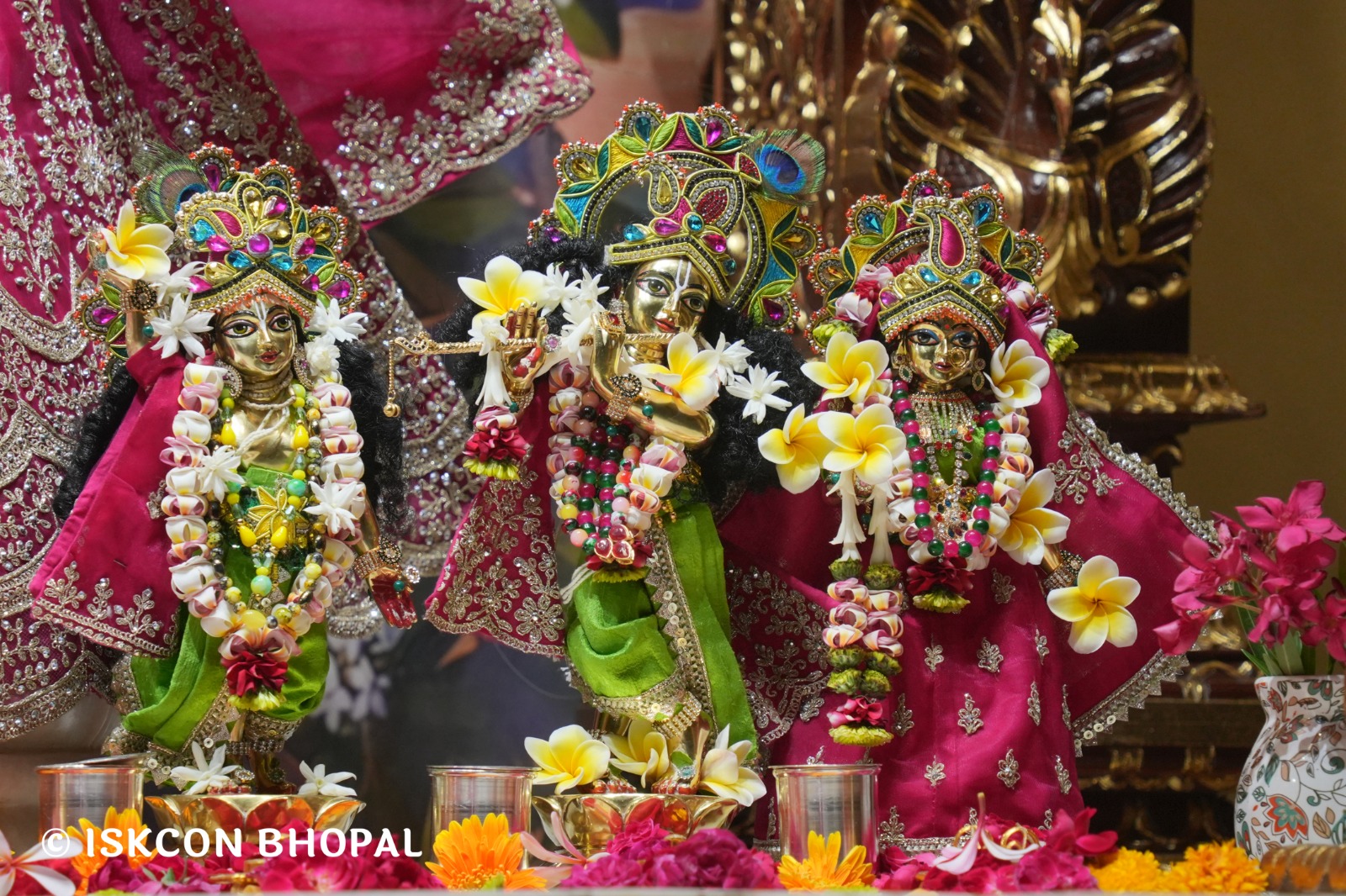 WhatsApp Image 2026-04-09 at 14.47.47