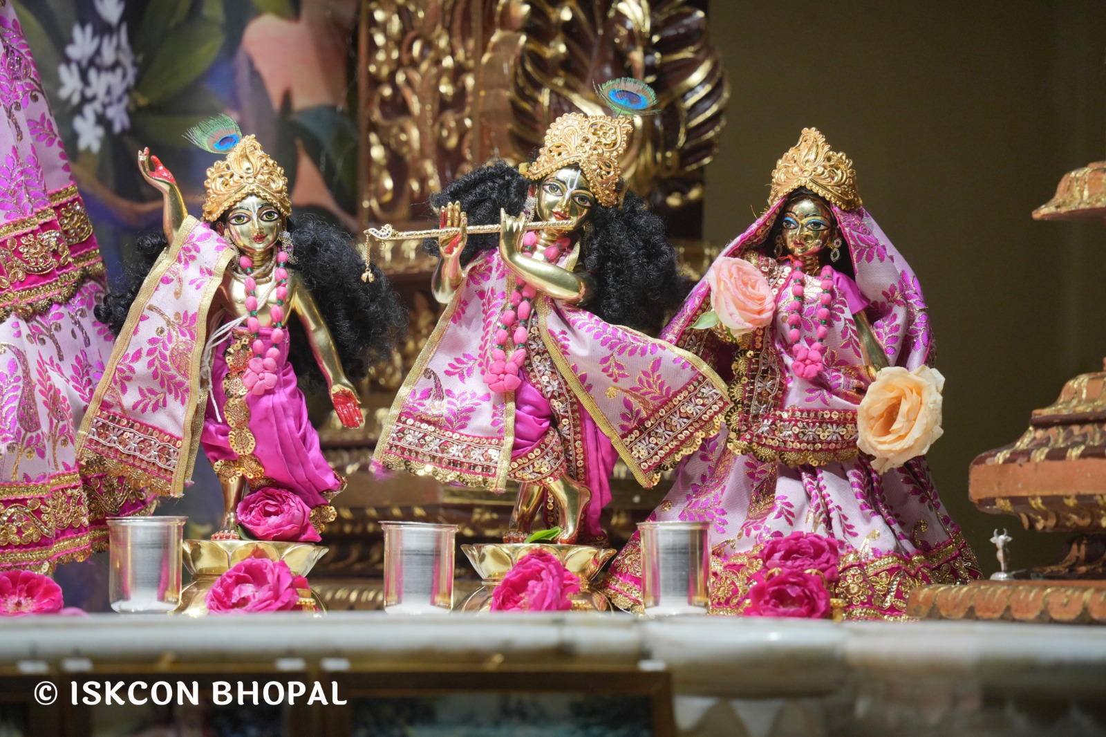 WhatsApp Image 2026-04-10 at 07.56.53